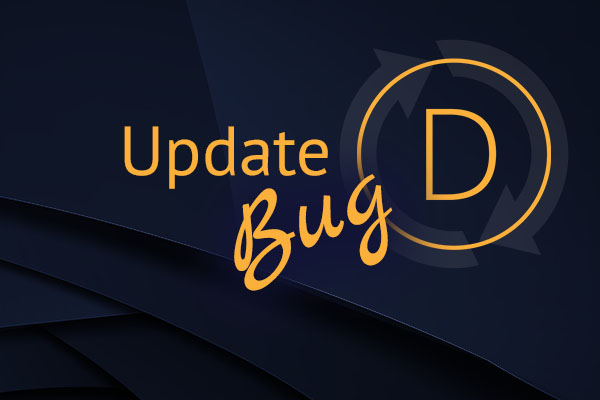 Divi Theme Update Bug