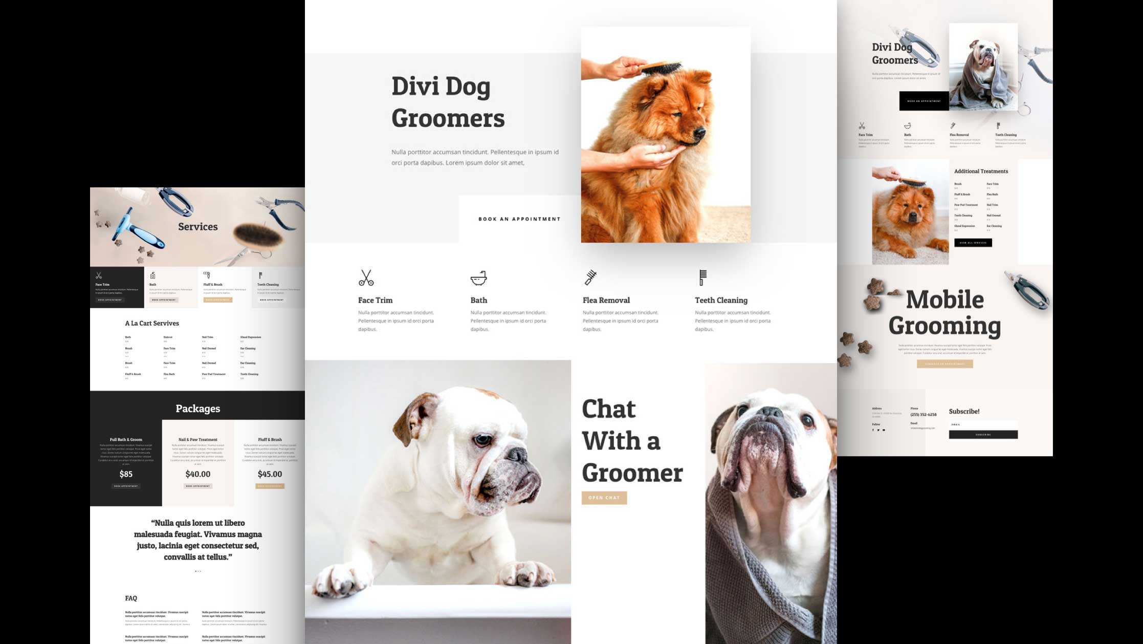 hundesalon-divi-kostenloses-layout-pack hundesalon-divi-kostenloses-layout-pack